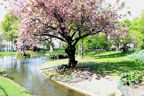 Parisian Local Neighborhood